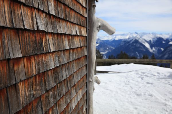 Cedar Siding Repair in Milton