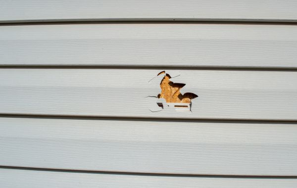Siding Hole Patching in Milton